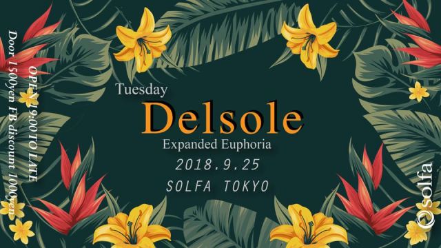 Delsole  -Expanded Euphoria-