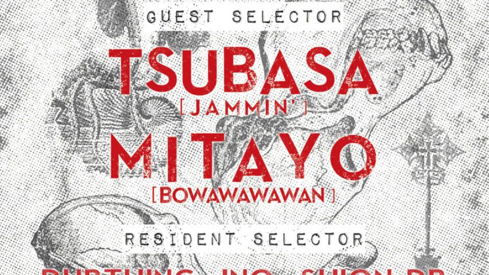 Voice of Dub Vol.33 feat. Tsubasa &amp; Mitayo