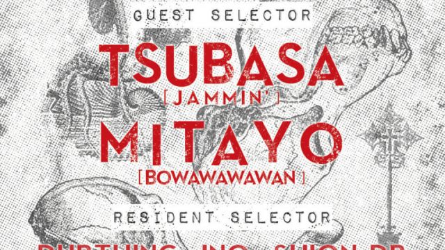 Voice of Dub Vol.33 feat. Tsubasa &amp; Mitayo