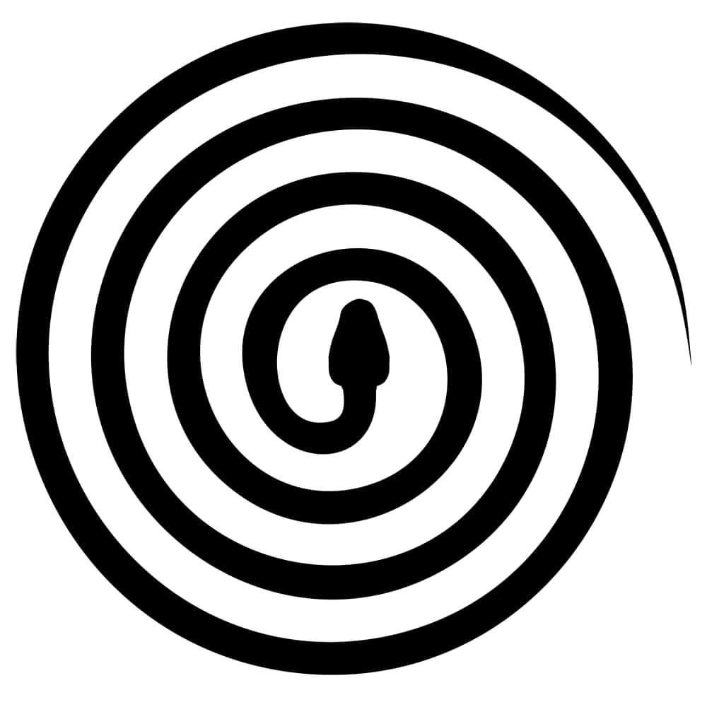 Samsara × NUMA Presents  NTOGN – The founder of Hypnus Records –