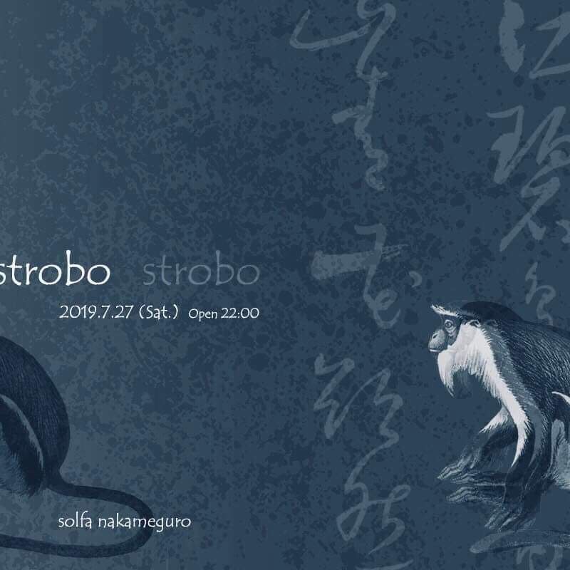 strobo