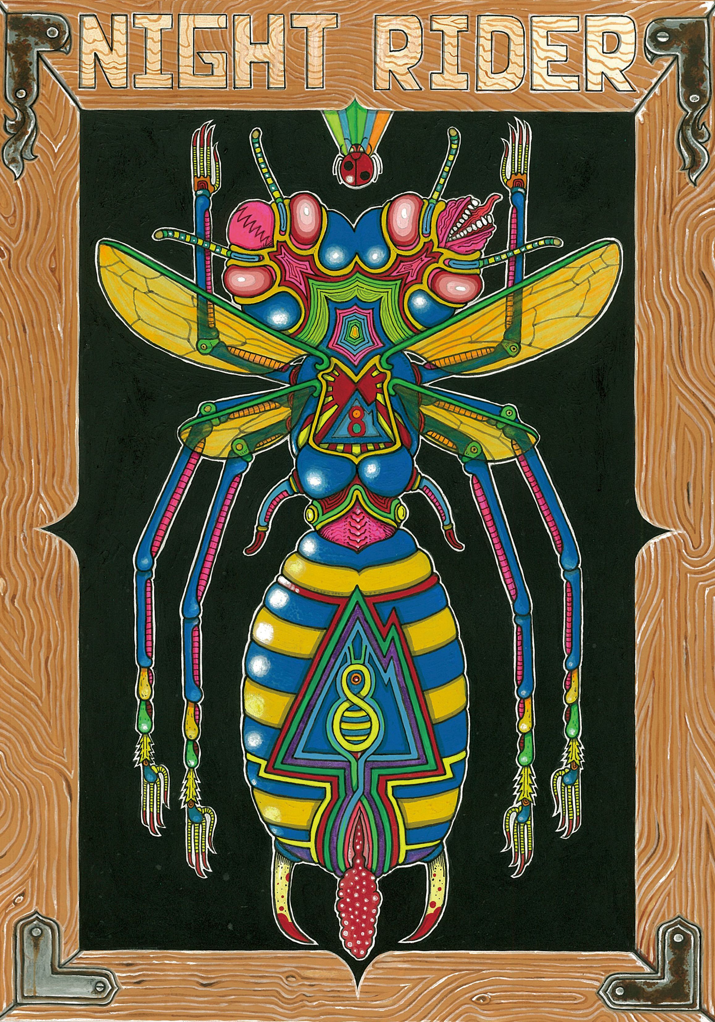 NIGHT RIDER