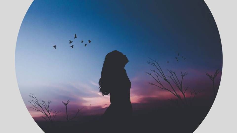 All Night Under The Moon