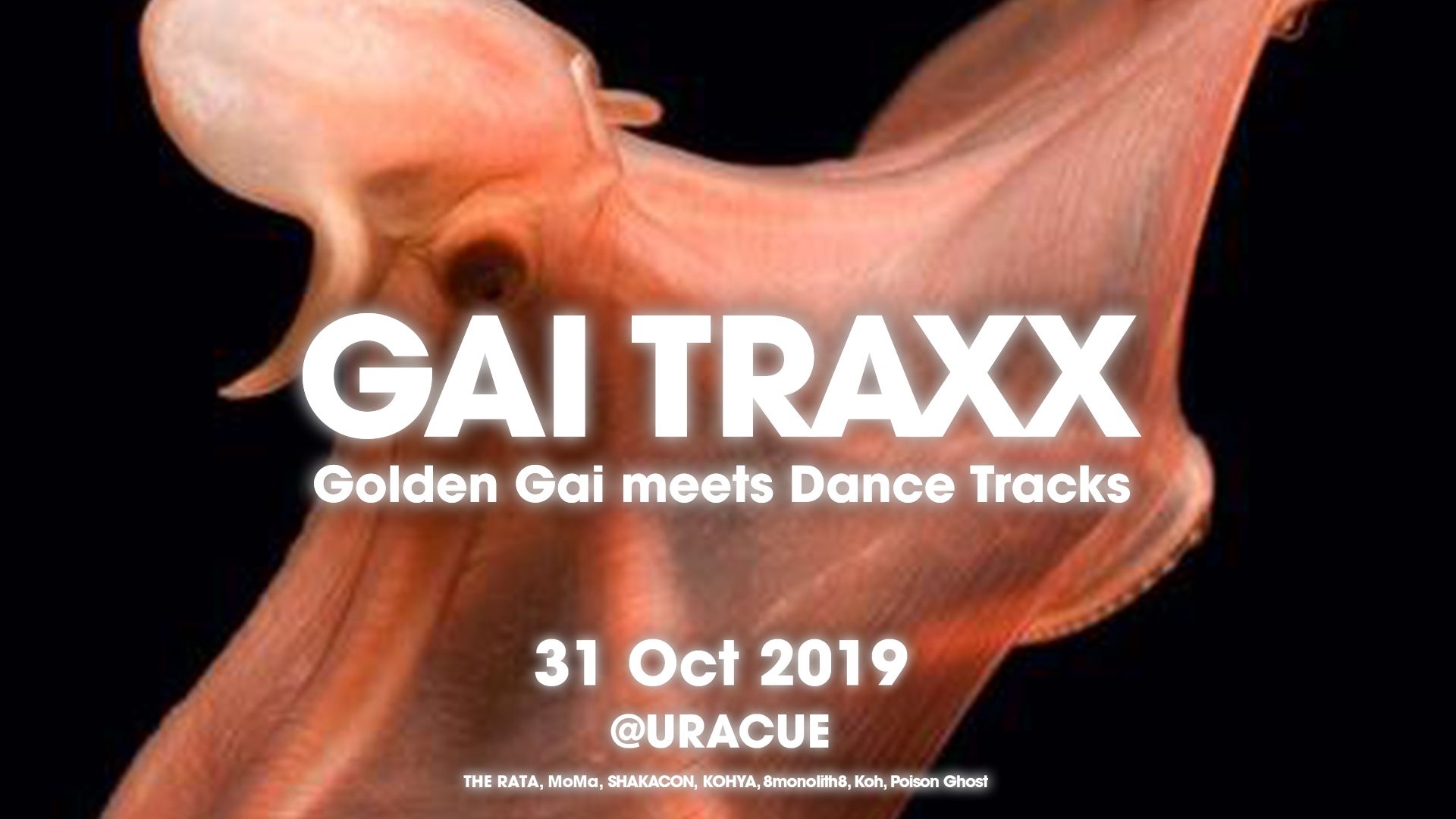 GAI TRAXX - Golden-Gai meets Dance Tracks【Halloween Night Party】