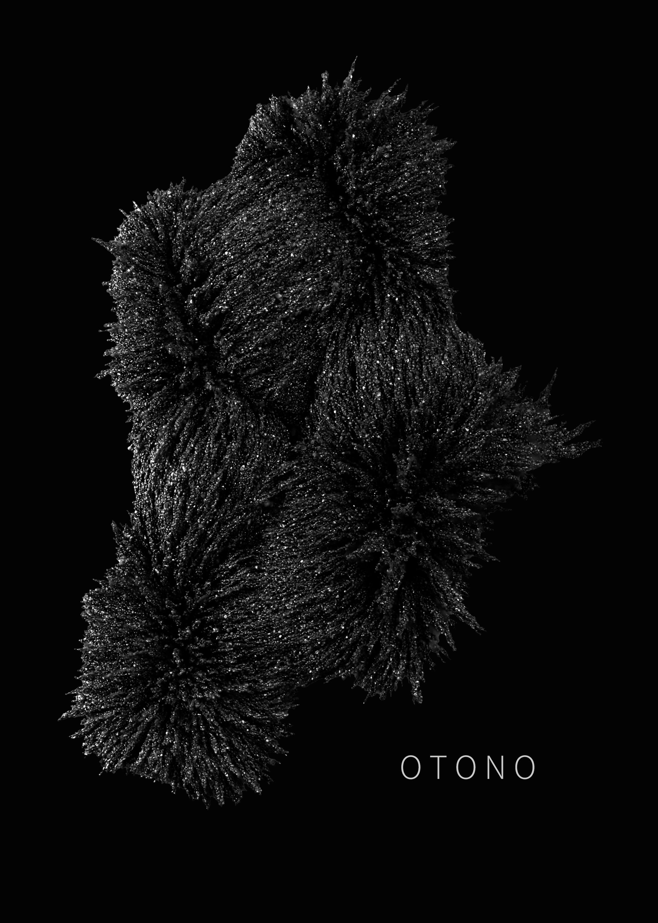 OTONO with Peter Van Hoesen -Hybrid Live/Dj Set-