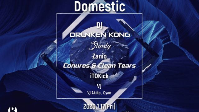 イントロダクション オブ 和製ハウス presents Domestic (7F)