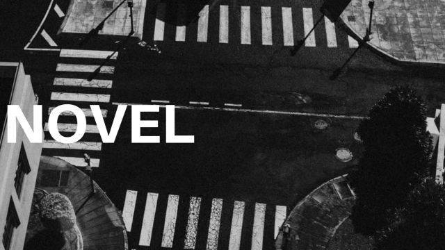 NOVEL
