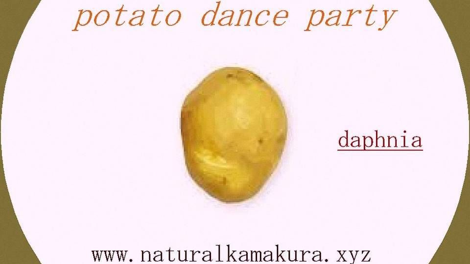 housemusic ※free, no music charge, no drink charge