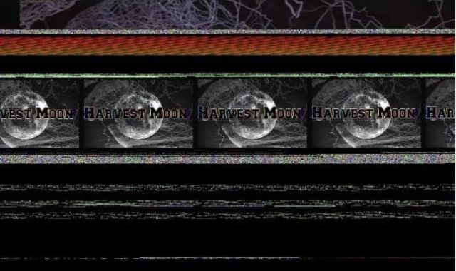 HARVEST MOON