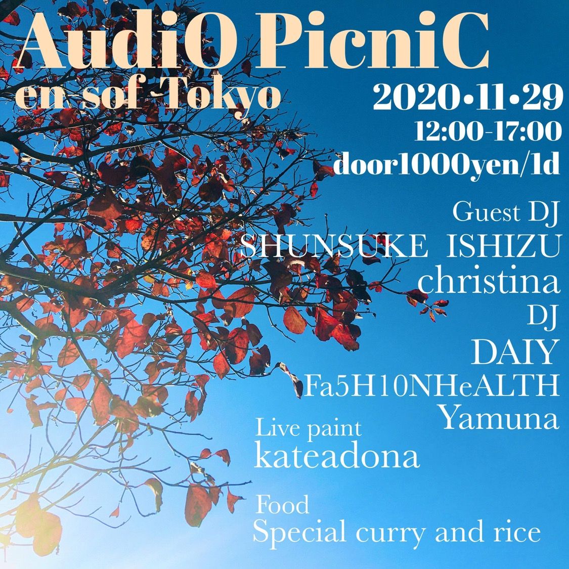 AudiO PicniC