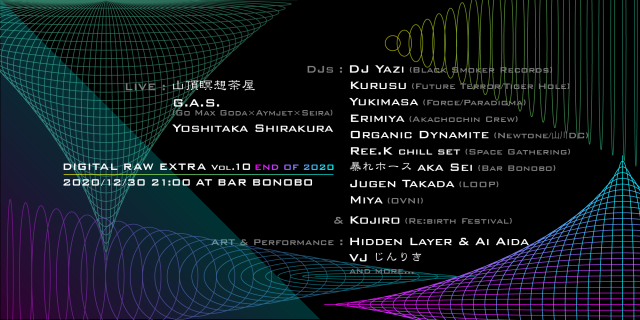 Digital Raw Extra Vol.10 -end of 2020-