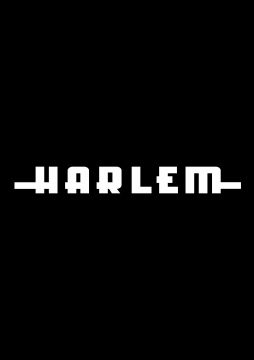 HARLEM YEAR END PARTY