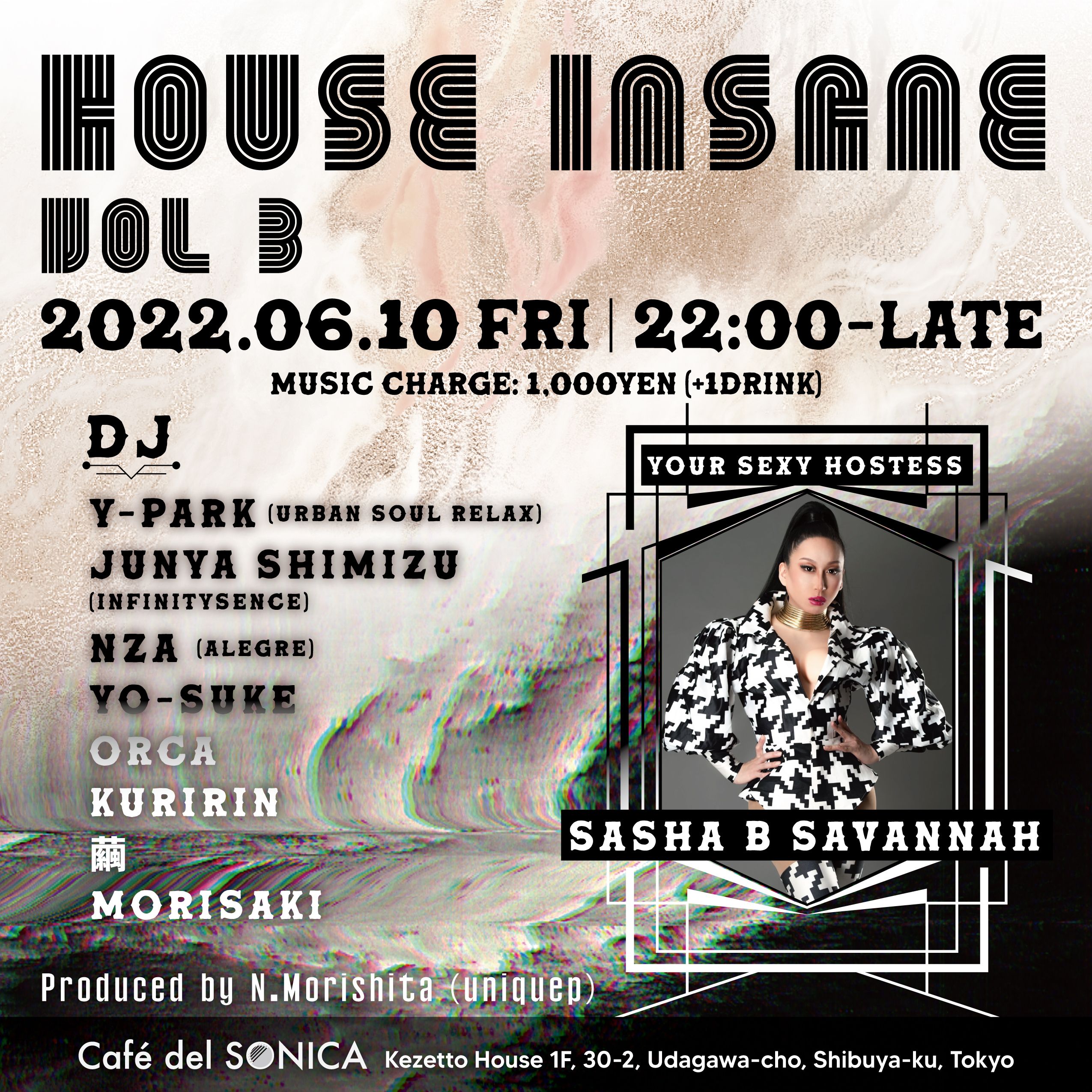 HOUSE INSANE vol 3