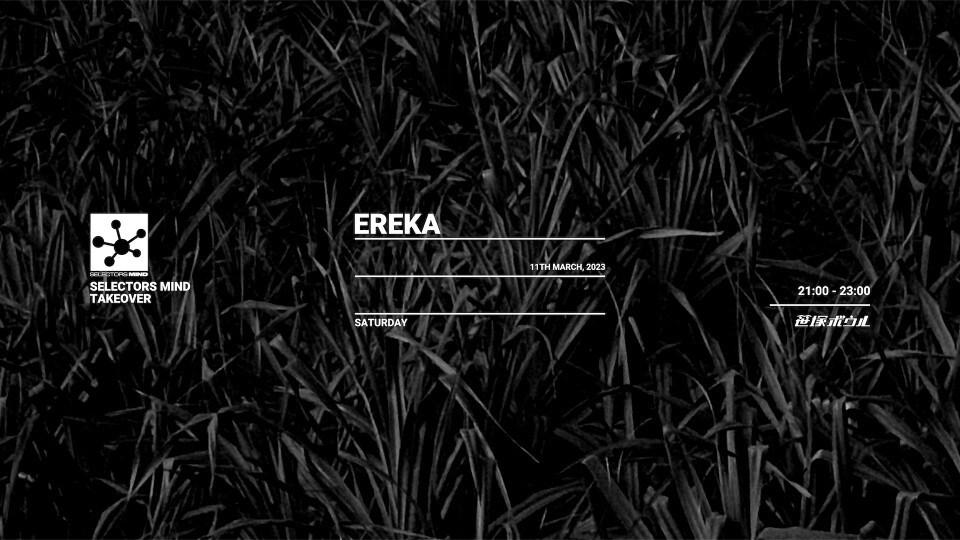 SELECTORS MIND TAKEOVER