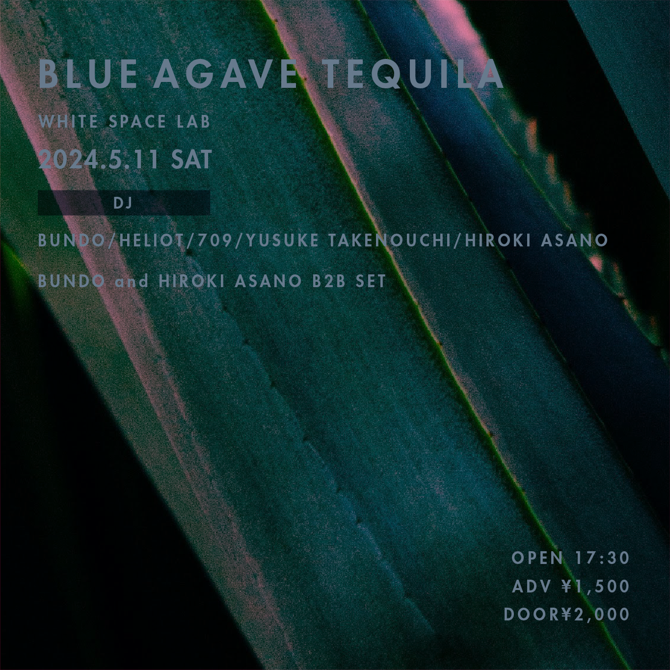 Blue Agave