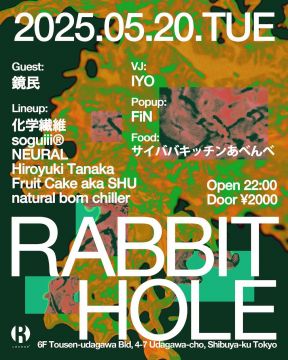 RABBIT HOLE