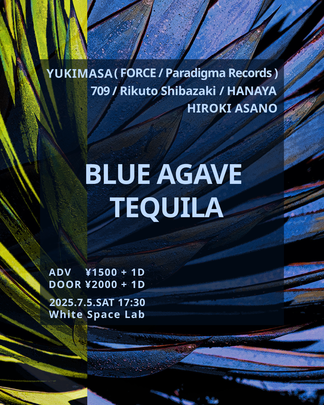 BLUE AGAVE