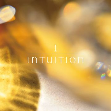 intuition / intuition2 beyond the noise is the point that transcends time　