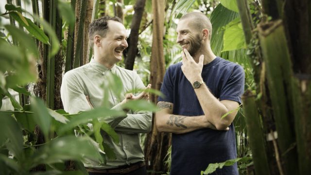 Detroit Swindleのジャパンツアーが開催