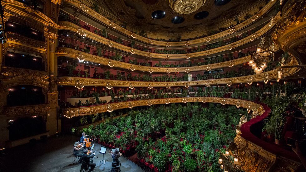 バルセロナのリセウ・オペラハウスで満席の植物を観客にしたコンサートが開催
